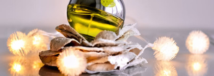 DKNY Be Delicious Donna Karan. Символ эпохи