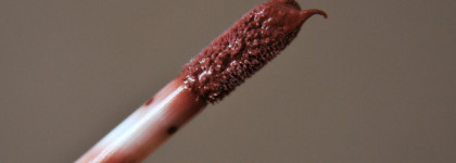 Помада и блеск, которые задержались в моей косметичке