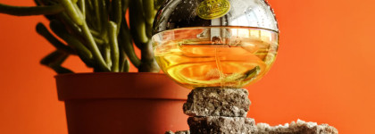 Призываю весну с ярким ароматом DKNY Be Delicious Summer Squeeze