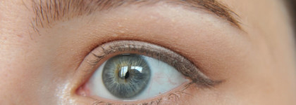 Тушь для ресниц Helena Rubinstein Lash Queen Perfect Blacks