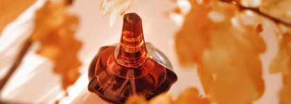 Ароматная подборка для осенних дней