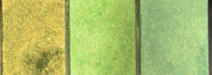 Шёлковая весна с Shiseido Luminizing Satin Eye Color Trio GR 305 Jungle