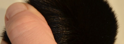 Мои новые любимицы: кисти Л'Этуаль и Shiseido