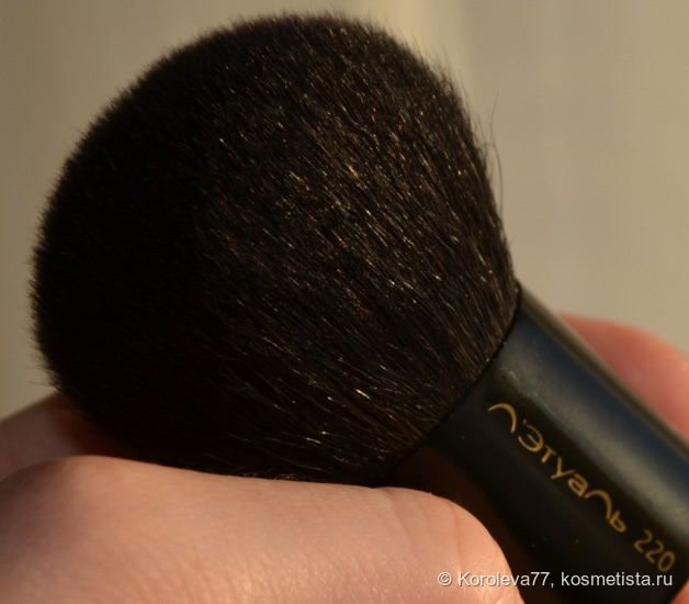 Мои новые любимицы: кисти Л'Этуаль и Shiseido