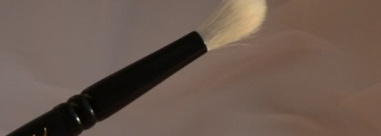 Мои новые любимицы: кисти Л'Этуаль и Shiseido