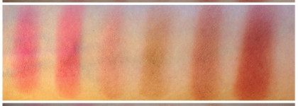 Пост титанического труда с Medium Shopping Bag Makeup Palette by Sephora