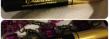 Чем мне не понравилась тушь Cabaret от Vivienne Sabo?