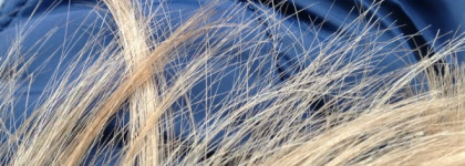 Воск для кончиков волос Мастерская Олеси Мустаевой - отличная профилактика сечения