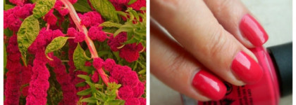 Ваш выход, мадам Председатель! OPI Madam President