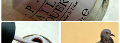 Мой голубь сизокрылый ... OPI Taupe-Less Beach