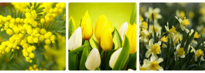 OРI Don't Talk Bach to Me ... Слушаем Баха?