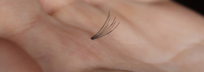 Пучки ресниц Ardell Duralash Naturals Medium Black. А натурально ли смотрится?