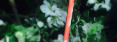 Пост-ругательство!! Или полное разочарование с лаком для губ Estée Lauder Pure Color High Intensity #01 Peach Glass