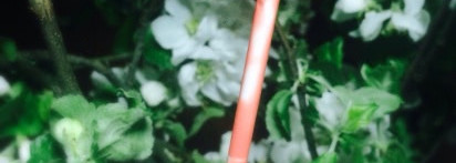 Пост-ругательство!! Или полное разочарование с лаком для губ Estée Lauder Pure Color High Intensity #01 Peach Glass