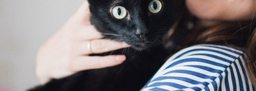 Айда со мной: знакомиться, краситься, стричься