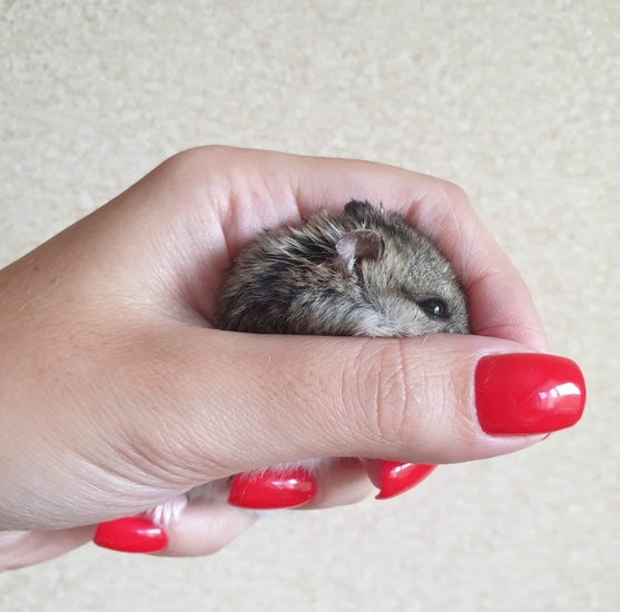 Айда со мной: знакомиться, краситься, стричься