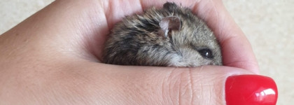 Айда со мной: знакомиться, краситься, стричься