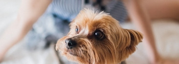 Айда со мной: знакомиться, краситься, стричься