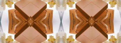 Новая интерпретация пудры: Narciso Rodriguez Narciso eau de parfum Poudree