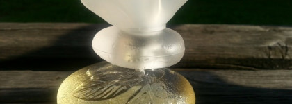 Аромат смородинового листа в Kenzo Le Monde Est Beau