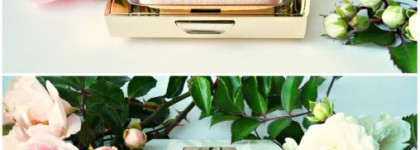 Мои корейские мишки! Чудесная пудра для фарфоровой кожи и менее чудесное гидрофильное масло, которые смывает всё