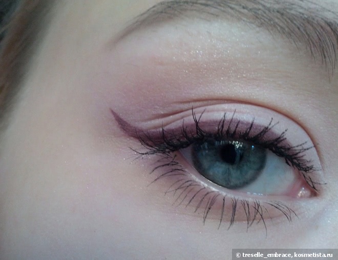 Мои сливовые очи с Artdeco Eyeshadow Matt №582