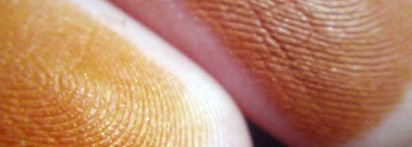 NYX Full Throttle Eyeshadow Palette 08 Color Riot