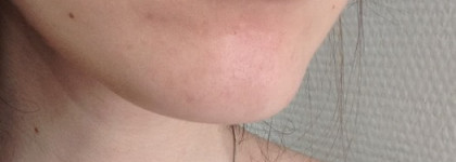 Эльфийские радости: E.l.f. Cosmetics, Studio Matte Lip Color