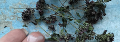 Средства, не просто сделавшие мою кожу лучше, а вылечившие её: La Roche-Posay Lipikar Syndet AP+ и Lipikar Baume AP+