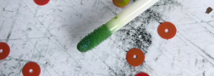 Essence Holo Wow: 05 Fairy Dust и 02 Butterfly Flap