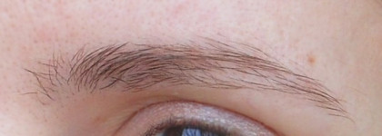 ArtDeco, сделай мне брови. Тени ArtDeco Matt Eye Shadow #517 chocolate brown