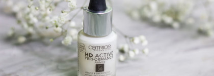 Макияж в красках зимы: снегирь на ветке