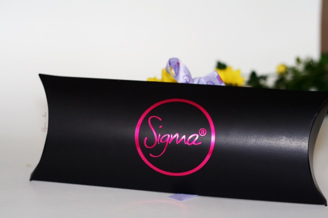 Многофункциональная кисть Sigma 3Dhd® Kabuki