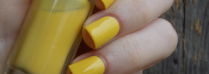 L'Oreal Color Riche - 240 Pop Corn