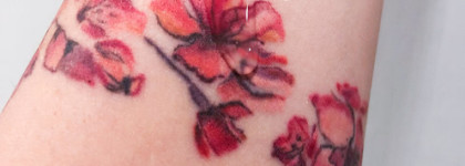 Моя зона комфорта с Comfort zonе