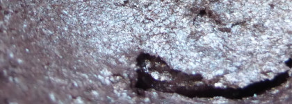 3ina: Кремовые Тени Для Век Cream Eyeshadow #312