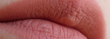 Elian Superior matte liquid lipstick Жидкая матовая помада #202 Prima