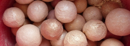 Моя прелесть: Guerlain Meteorites Perles D'Etoile Illuminating Pearls "Un Soir A L'opera" - исключительно для макияжа зимой