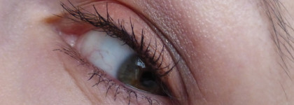 Catrice Crystallized Rose Quartz Eyeshadow Palette #010 Sister of my soul