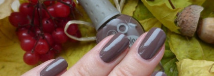 Увядающие цветы: 5 универсальных лаков для осени