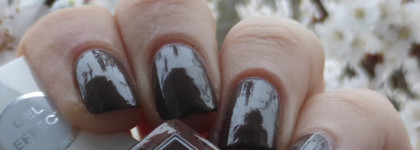 Увядающие цветы: 5 универсальных лаков для осени