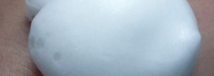 Что на полочке живет: осень 2025