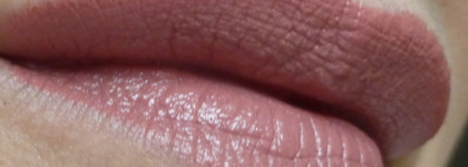 Ни помада, ни румяна: Zoeva Pout Perfect Lip&Cheek Pencil #Vanessa