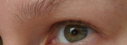 Гель для бровей Catrice Lift & Laminate Brow Gel