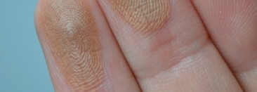 Тропическое настроение с бронзером Colourpop Coconut Collection Pressed Powder Bronzer