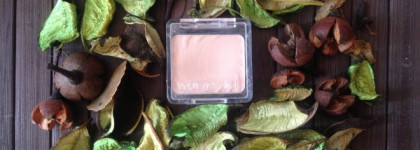 Идеальные тени "макияж без макияжа" Wet n wild coloricon eyeshadow single в оттенке e251a brulee