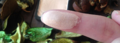 Идеальные тени "макияж без макияжа" Wet n wild coloricon eyeshadow single в оттенке e251a brulee