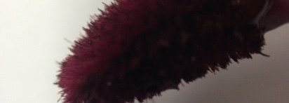 Lime Crime Velvetines Liquid Lipstick в оттенке Wicked