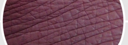 Новая любовь - Матовая помада Colourpop Ultra Matte lip в оттенке Tulle