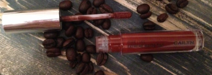 Кому шоколада? Cailyn Pure Lust extreme matte tint + velvet в оттенке 42 salvable